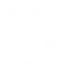 Scout White-png