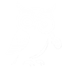 Scout the owl